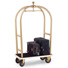 TRANSBAG 1 - placat cu aur