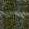 ABETE 9228