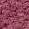 CASSIS 9803
