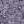 GLICINE 2116