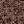 VISONE 2136