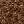 MARMOTTA 2407