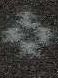 FOREST 2203