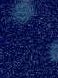 NAVY 2106