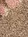 BEIGE 01