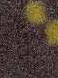 ANTRACITE 2401