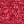 RASPBERRY 10