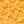 MUSTARD 20