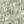 SOFTPINE 72