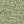 MENTA 8276