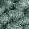 LICHENE 9886