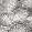 PERLA 9890