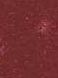 WINE 9755