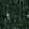 FORESTA 9705